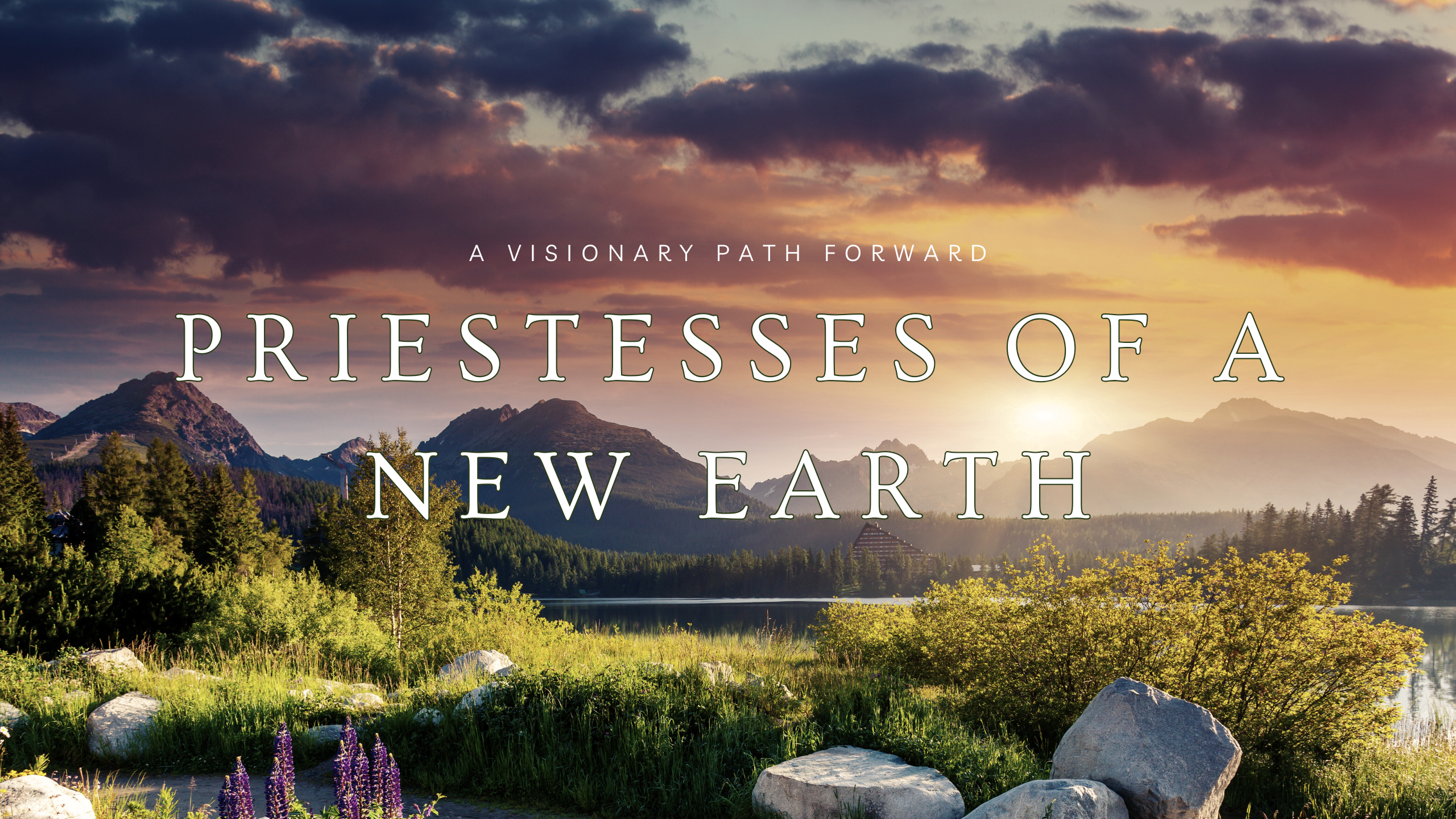 Circle Graphics - Banner (7)