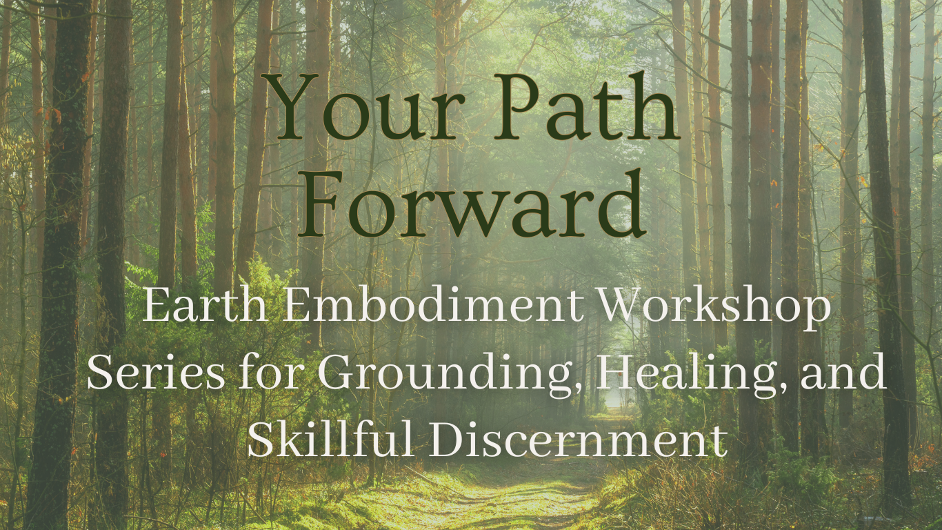 Forest Body Healing (11)