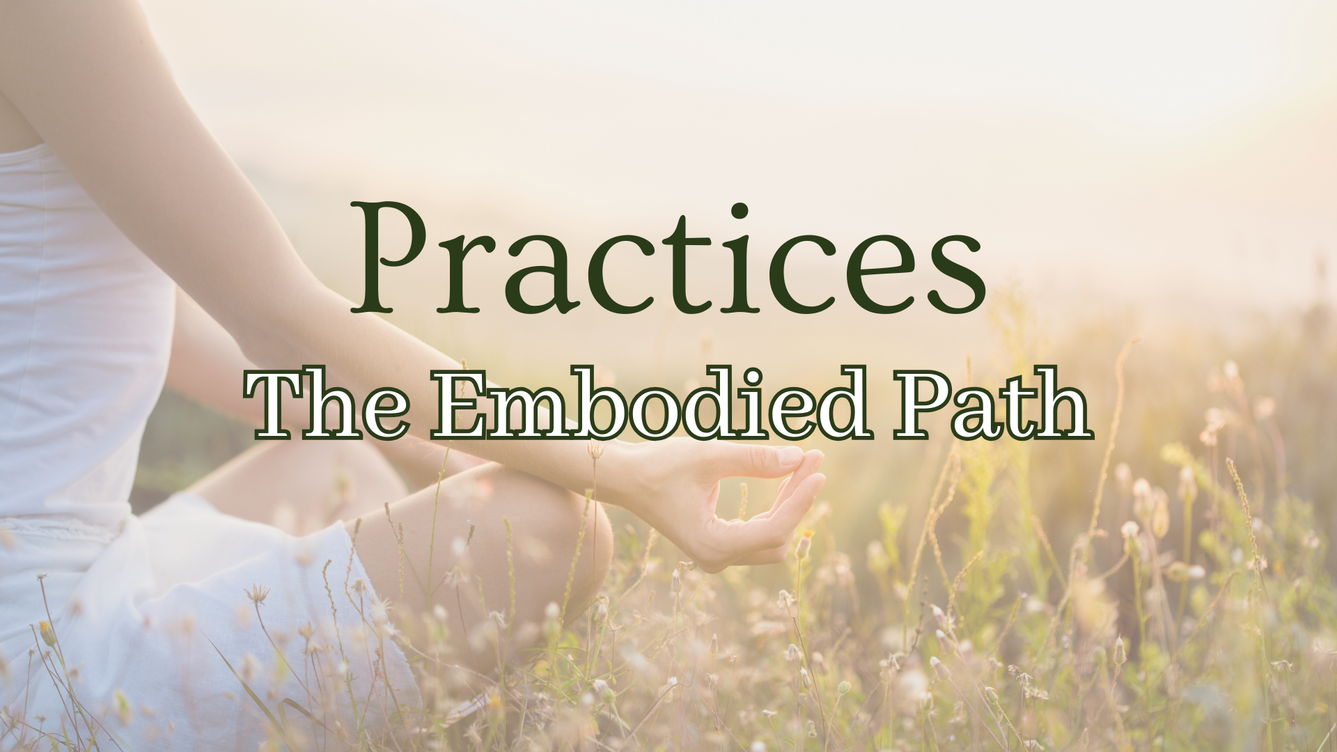 Copy of Forest Body Healing (1344 x 256 px) (1)