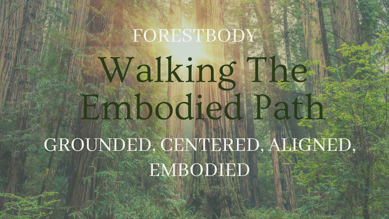 Forest Body Healing (15)