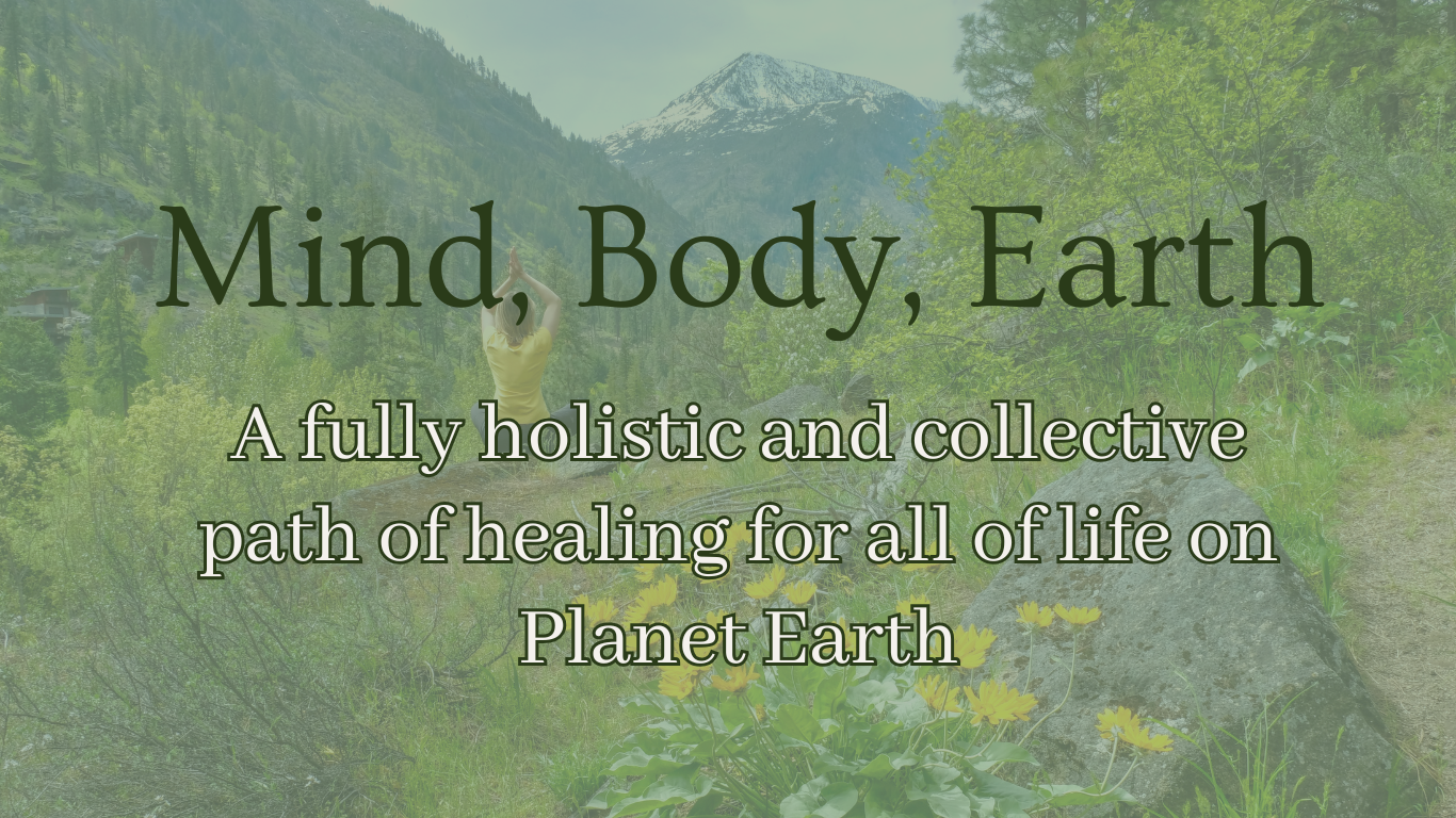 Forest Body Healing (19)