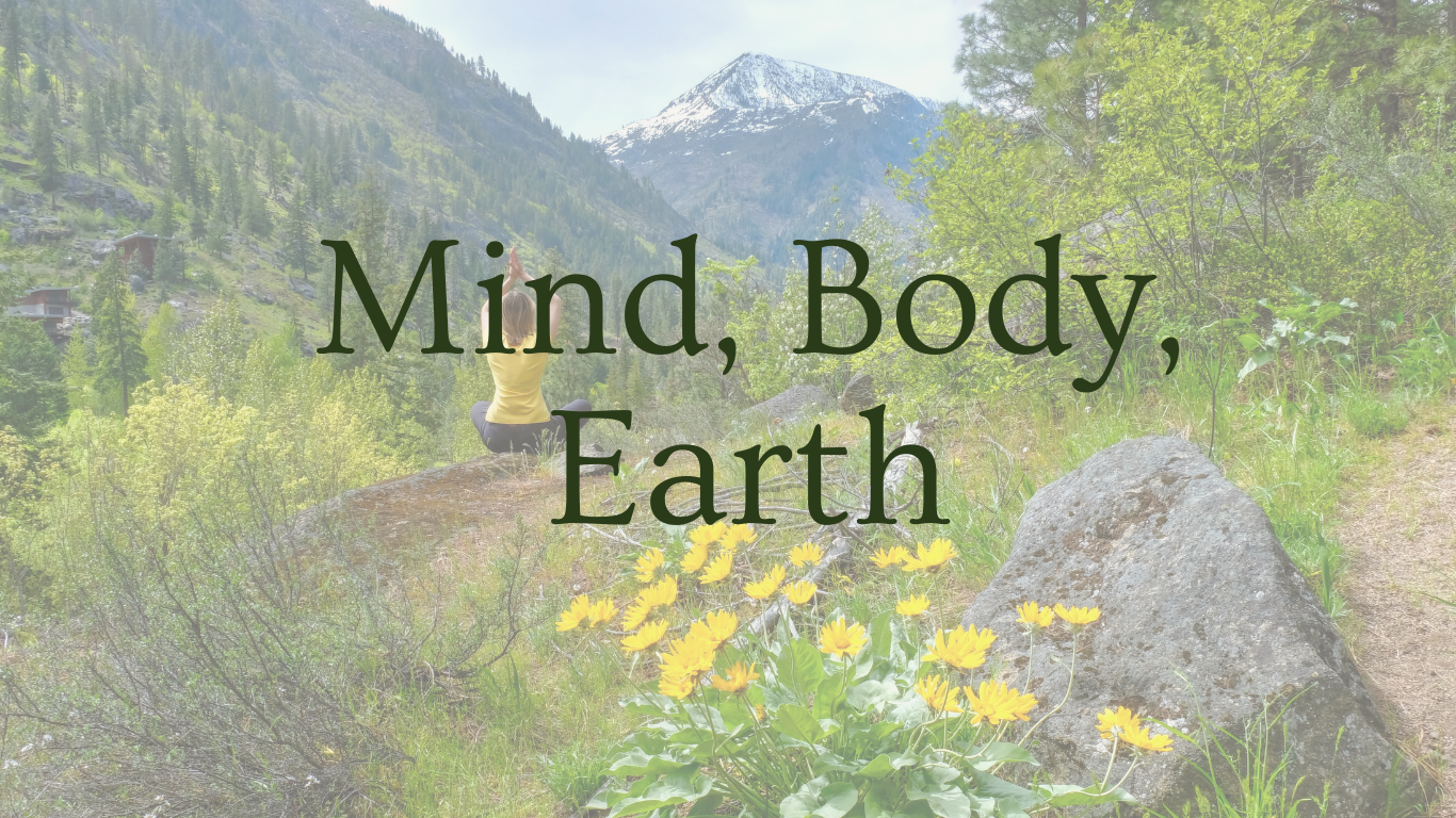Forest Body Healing (20)