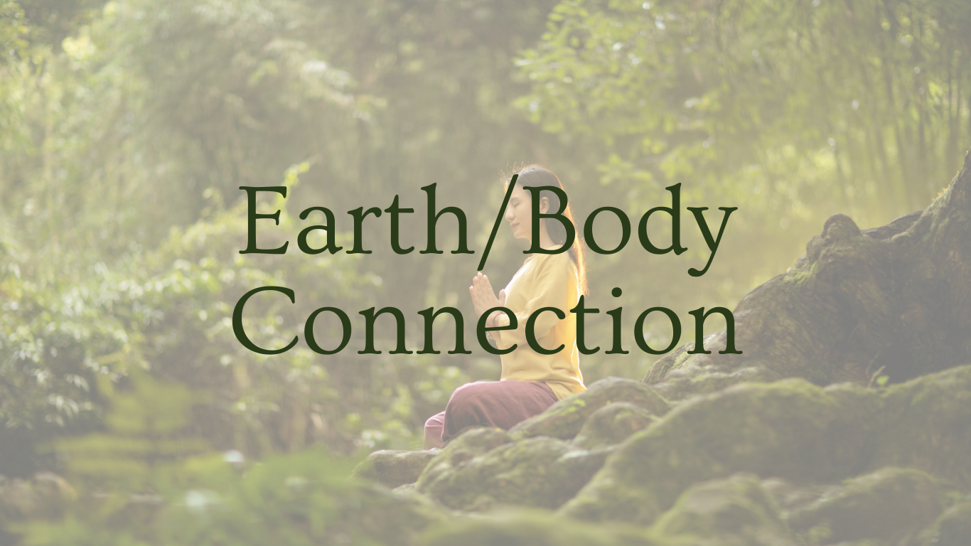 Forest Body Healing (21)