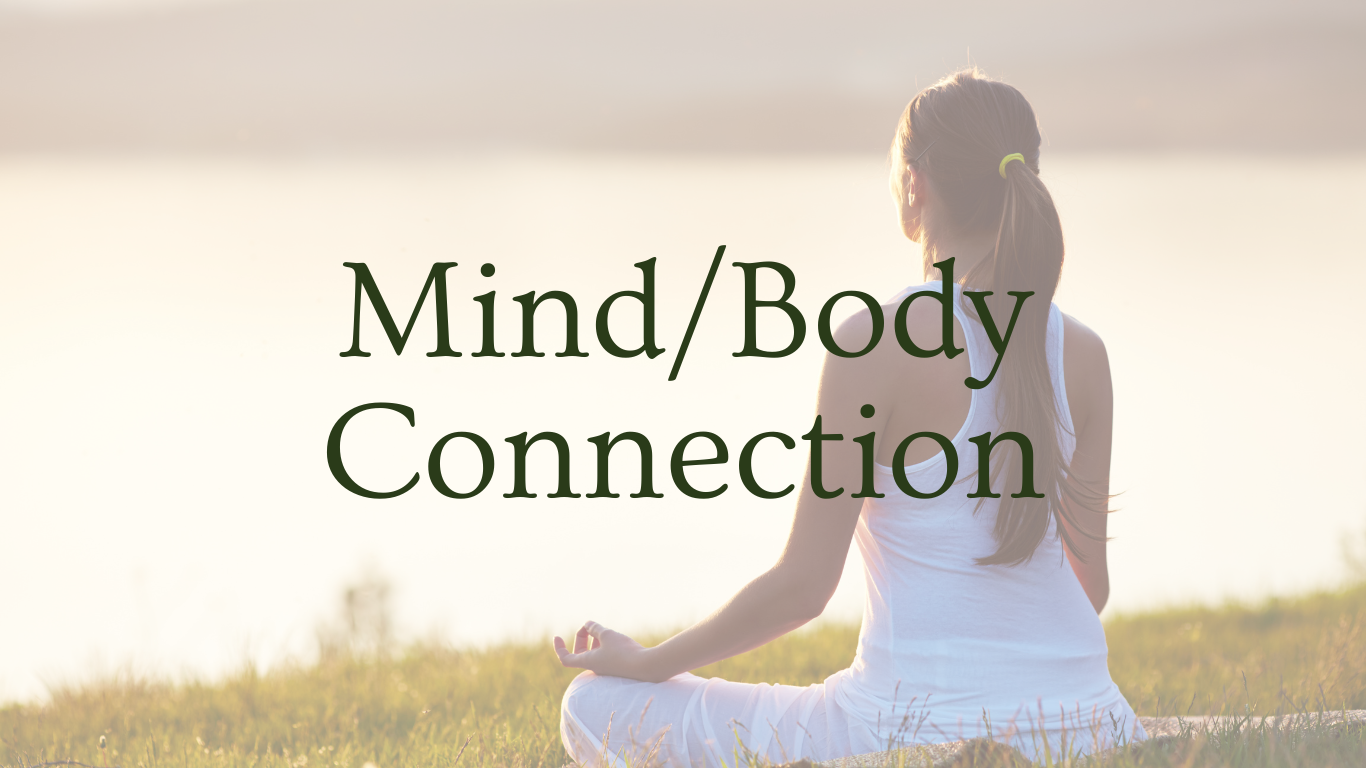 Forest Body Healing (22)