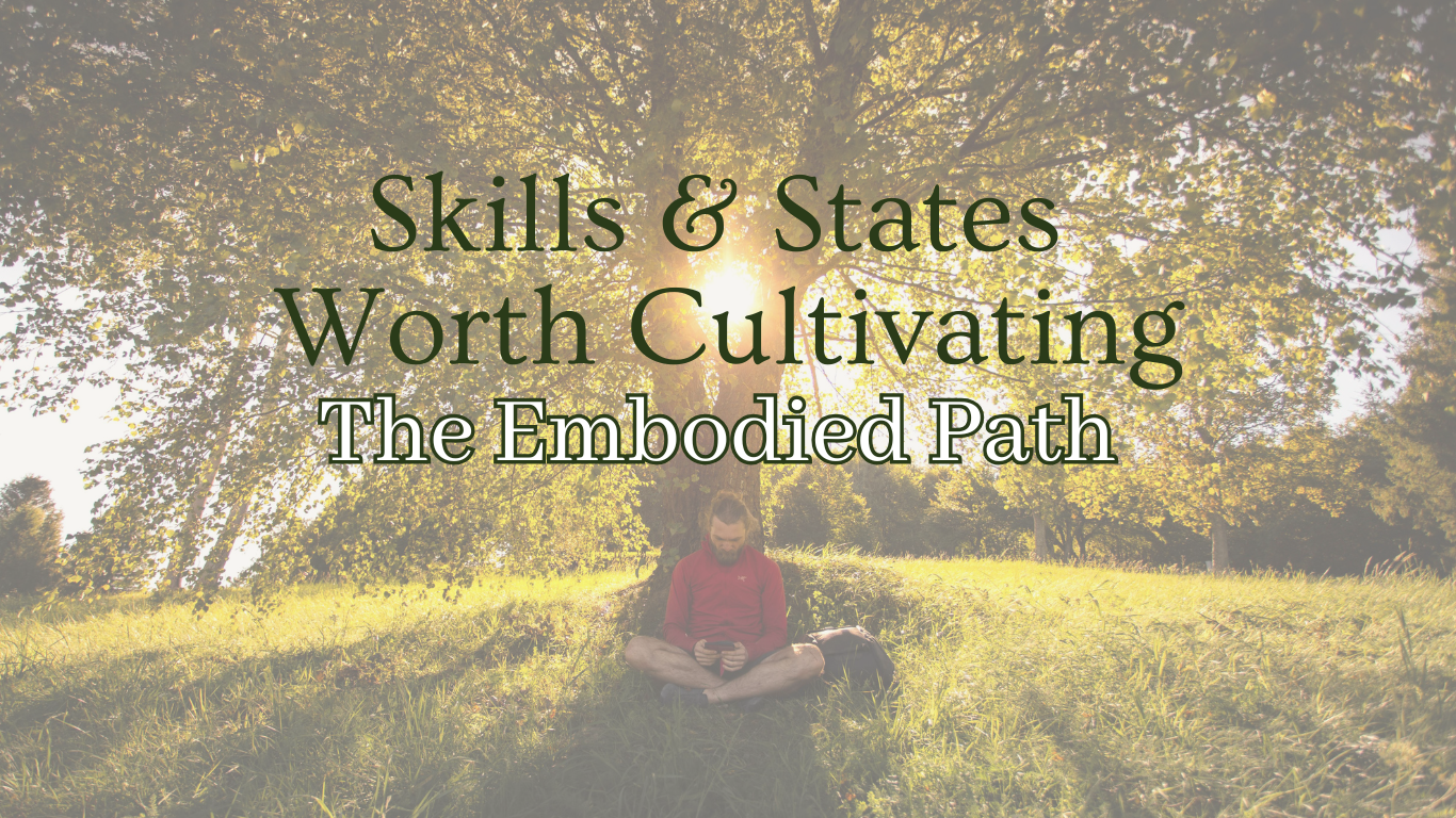 Copy of Forest Body Healing (4)