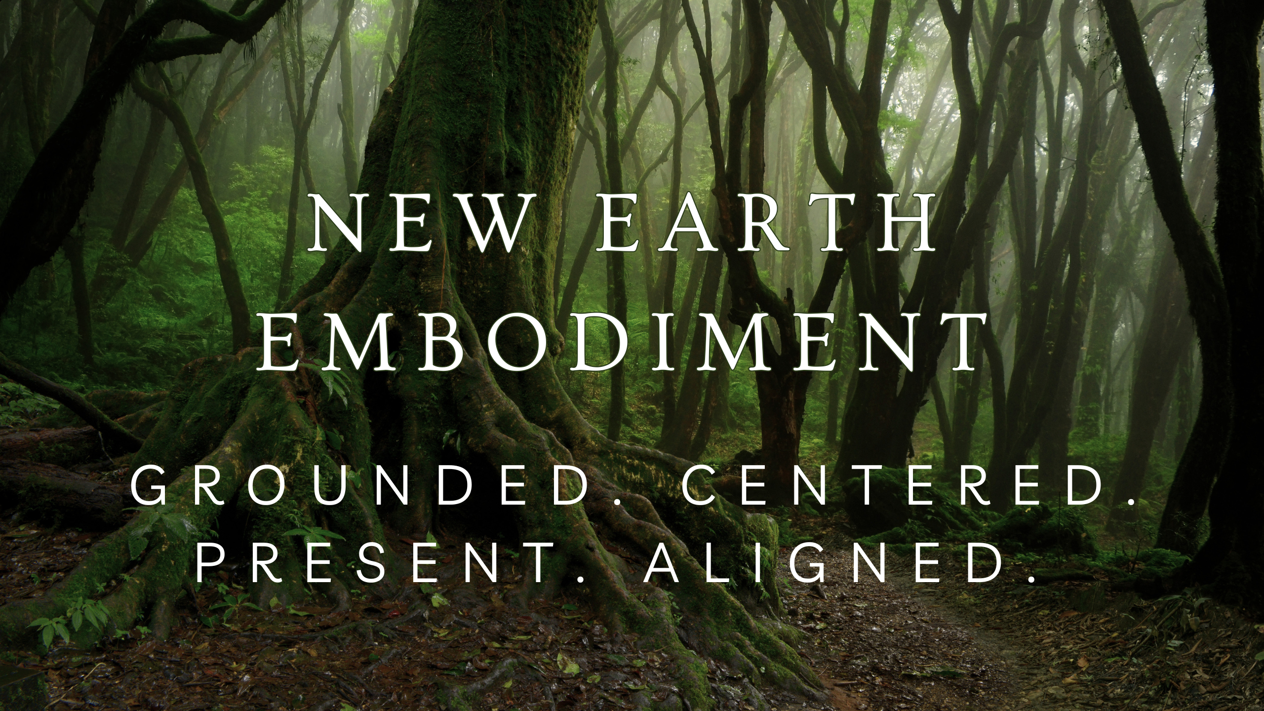 Circle Graphics - Banner (14)