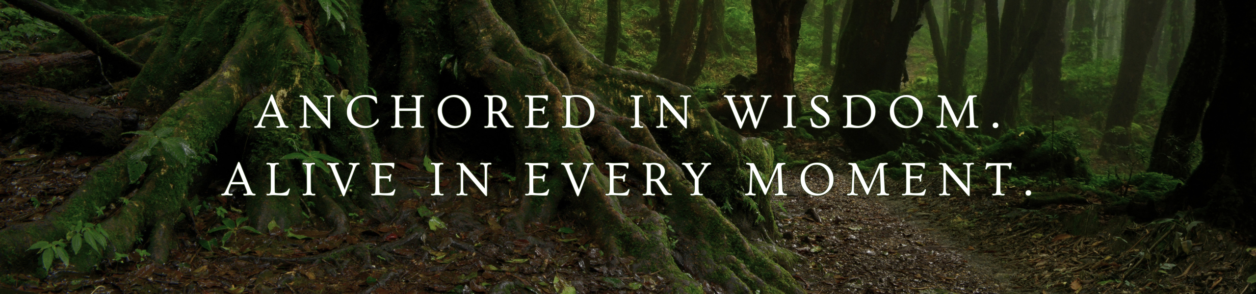 Circle Graphics - Banner (2560 x 600 px) (1)