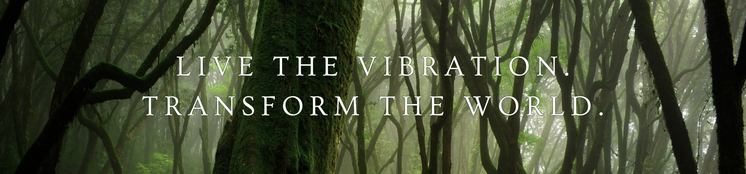 Circle Graphics - Banner (2560 x 600 px) (2)