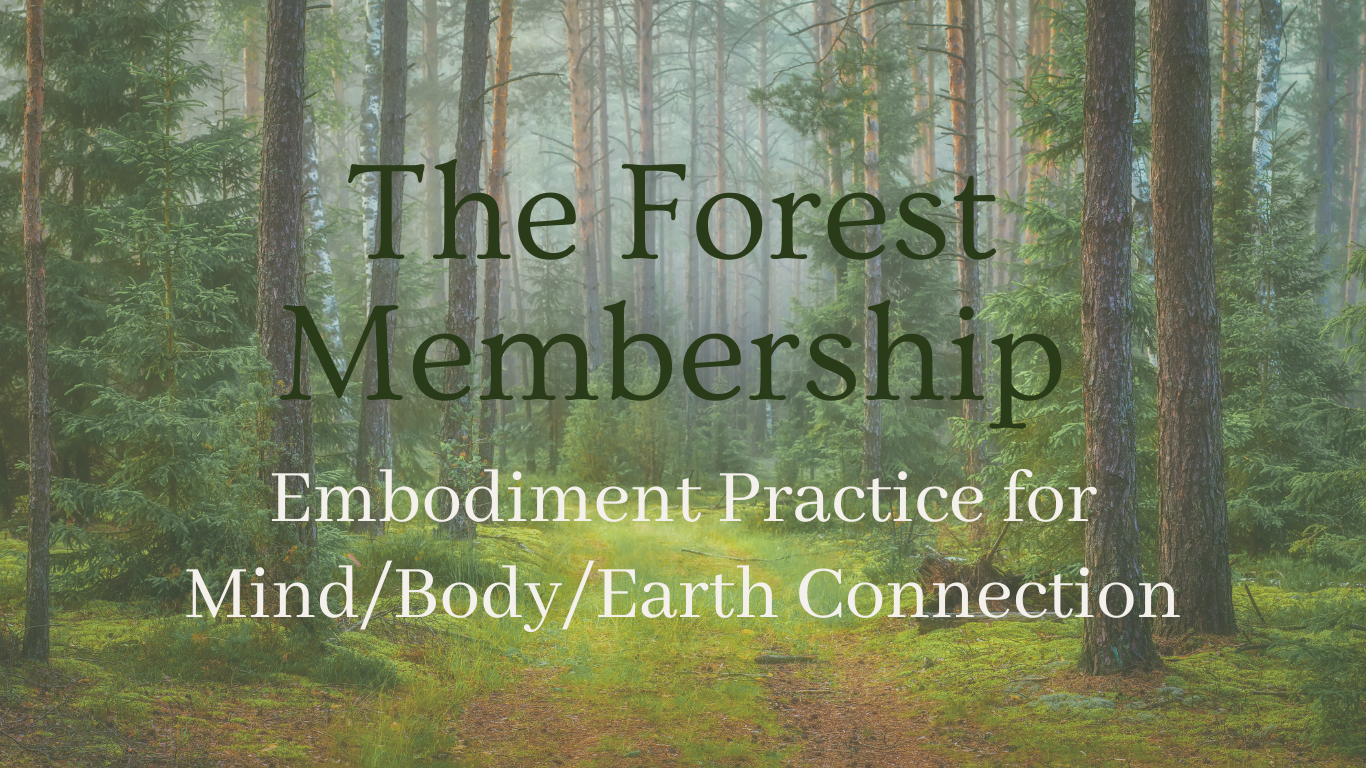 Forest Body Healing (2)