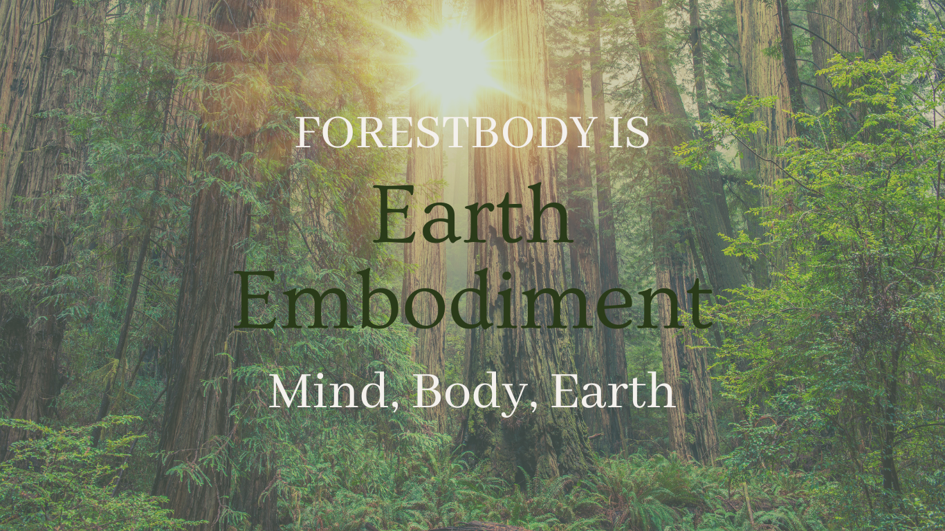 Forest Body Healing (4)